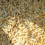 Brotbackautomat Rezept Dinkel-Roggen-Vollkornbrot