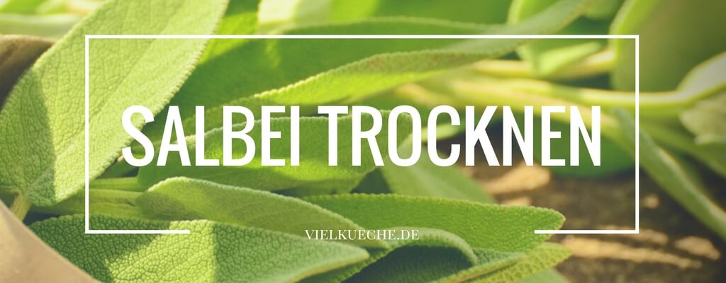 Salbei trocknen - einfach lange haltbar machen, so geht&amp;#39;s